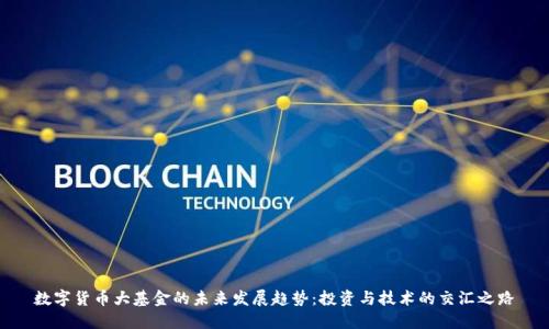数字货币大基金的未来发展趋势：投资与技术的交汇之路
