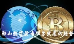 未来鞍山数字货币股票发展的趋势探析