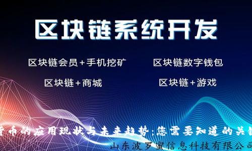 数字货币的应用现状与未来趋势：您需要知道的关键领域