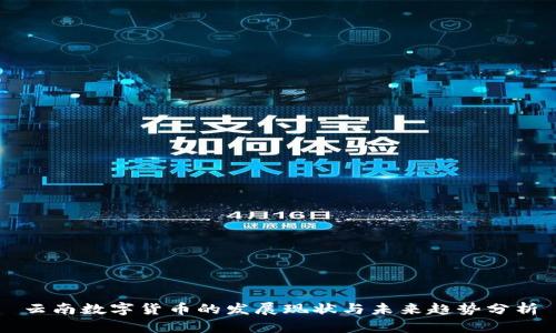云南数字货币的发展现状与未来趋势分析