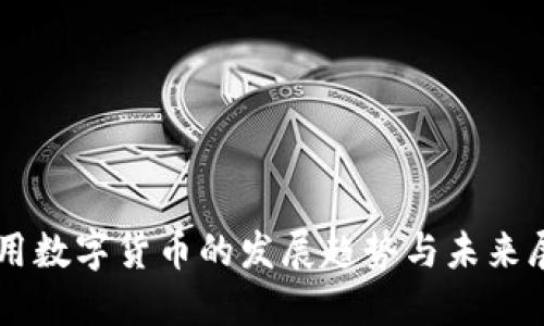 专用数字货币的发展趋势与未来展望