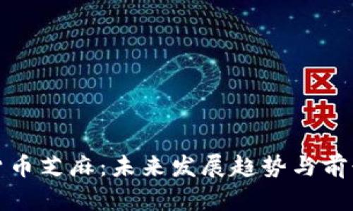 数字货币芝麻：未来发展趋势与前景分析