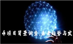 数字货币项目背景调查：未来趋势与发展前景