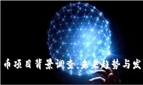 数字货币项目背景调查：未来趋势与发展前景
