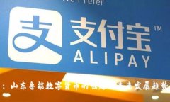 : 山东鲁能数字货币的崛起与未来发展趋势