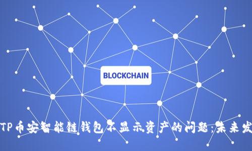如何解决TP币安智能链钱包不显示资产的问题：未来发展与趋势