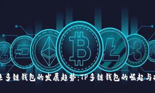 未来多链钱包的发展趋势：TP多链钱包的崛起与挑战