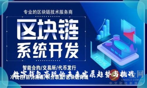 数字钱包套现的未来发展趋势与挑战