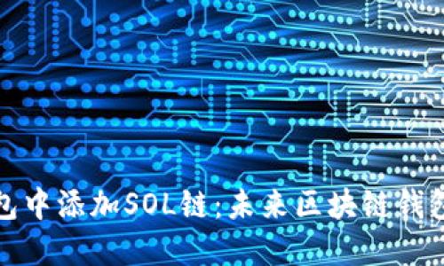 如何在TP钱包中添加SOL链：未来区块链钱包的发展趋势