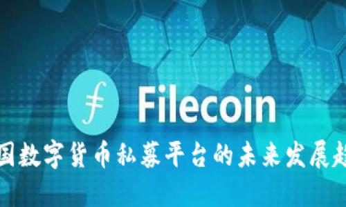 中国数字货币私募平台的未来发展趋势
