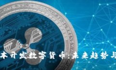 如何低成本开发数字货币：未来趋势与实践指南
