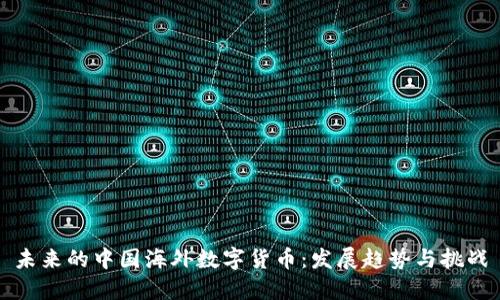 未来的中国海外数字货币：发展趋势与挑战