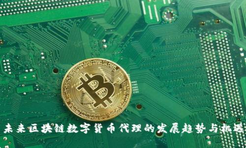 未来区块链数字货币代理的发展趋势与机遇