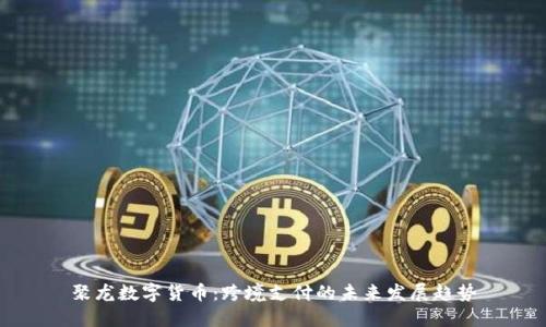 聚龙数字货币：跨境支付的未来发展趋势