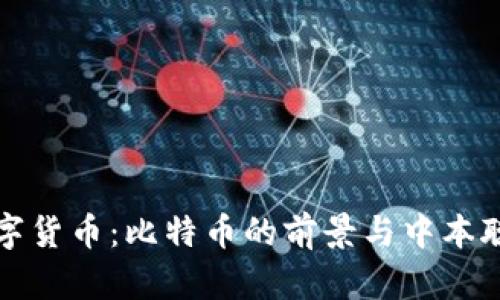 未来数字货币：比特币的前景与中本聪的影响