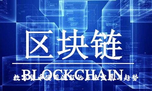 数字货币使用流程的未来发展与趋势