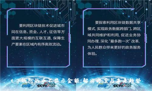 t p钱包的币不显示金额：解决方案与未来趋势