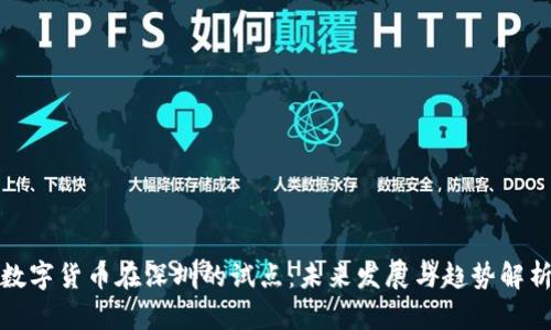 数字货币在深圳的试点：未来发展与趋势解析
