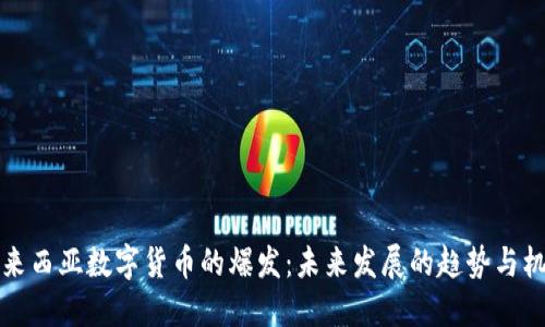 马来西亚数字货币的爆发：未来发展的趋势与机遇