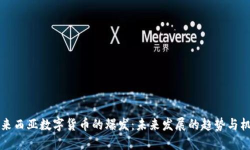 马来西亚数字货币的爆发：未来发展的趋势与机遇