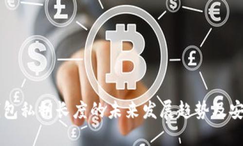 以太坊钱包私钥长度的未来发展趋势及安全性探索