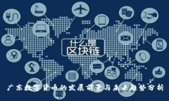 广东数字货币的发展前景与未来趋势分析