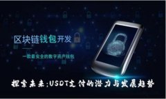 探索未来：USDT支付的潜力与发展趋势