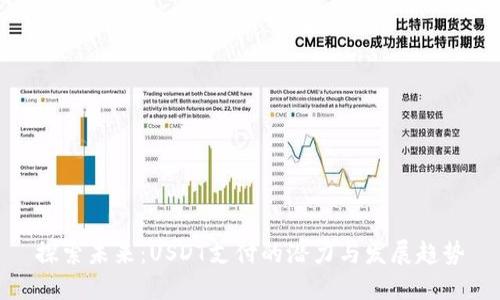 探索未来：USDT支付的潜力与发展趋势