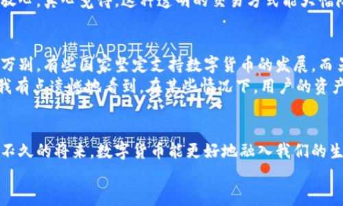  云波科技：数字货币的未来发展趋势与市场机遇 / 
 guanjianci 云波科技,数字货币,区块链,未来趋势 /guanjianci 

引言
在数字经济蓬勃发展的今天，数字货币正逐渐成为全球金融市场的重要组成部分。而作为这一领域内的佼佼者，云波科技无疑为数字货币的创新与发展注入了新的活力。在这篇文章中，我们将深入探讨数字货币的未来发展趋势及云波科技在其中所扮演的角色。

数字货币的概念与演变
数字货币，顾名思义，是一种基于数字技术的货币形式。最初的数字货币是比特币，它的出现标志着去中心化金融时代的开启。随着技术的不断进步，越来越多的数字货币相继问世，逐渐丰富了市场选择。比特币的隆重登场引导了人们对区块链技术的关注，而今日，除了比特币以外，还有以太坊、瑞波币、莱特币等众多数字货币。这些数字资产各具特色，在全球经济中扮演着越来越重要的角色。

数字货币的未来发展趋势
1. 区块链技术的普及
区块链技术是数字货币的核心基础，它为金融交易提供了透明、高效和安全的机制。未来，随着区块链技术的不断成熟，越来越多的行业也将开始尝试将其应用于各自的领域，从金融、供应链到医疗、政府服务，区块链的潜力几乎无所不在。
2. 去中心化金融（DeFi）的快速增长
去中心化金融（DeFi）是建立在区块链平台上的金融服务，它允许用户直接进行交易和借贷，而无需依赖传统金融机构。这一趋势正日益受到市场青睐，越来越多的投资者和用户愿意接受这一新兴的金融形式。云波科技作为革新者，积极参与DeFi领域的开发，为用户提供更多元化的财务选择。
3. 法定数字货币的推出
越来越多的国家开始重视法定数字货币的研究与开发。在未来的几年内，央行数字货币（CBDC）将逐步投入使用。这不仅将推进数字支付的便利性，还将提升货币政策的有效性。想象一下，在不久的将来，您的手机就可以成为您的“银行”，处理各种货币交易，这是多么令人兴奋的前景啊！
4. 数字资产的合规监管
随着数字货币市场的日益成熟，合规监管成为行业发展的必要条件。我们见证了各国政府逐步加强对数字币市场的监管，以保护投资者的利益，并促进市场的健康发展。云波科技在遵循合规要求的同时，不断推动行业标准的制定，展现了对行业健康发展的责任感。

云波科技的角色与贡献
作为一家前沿科技公司，云波科技在数字货币的研发和应用方面做出了突出贡献。它的多元化产品线涵盖了数字钱包、交易平台及智能合约系统，极大地促进了用户的资产增值。云波科技不仅注重技术的创新，更通过良好的用户体验赢得了用户的信赖，成为行业内的领军企业。
为了适应快速变化的市场需求，云波科技始终保持技术更新，致力于为用户提供更为安全、便捷的数字货币解决方案。在数字资产的管理上，云波科技更是引入了先进的安全技术，通过双重身份验证和多重签名等方式，保护用户的资产安全。

数字货币的市场机遇
随着数字货币领域的持续扩展，我们看到了一系列市场机遇。这不仅仅是投资回报的机遇，更是技术创新和社会进步的机遇。区块链的应用有助于提高交易透明度，降低金融服务的成本，尤其对发展中国家而言，这将极大促进其金融普惠。
云波科技正在积极布局全球市场，以期抓住这一波机遇。通过与各国金融机构合作，云波科技希望能在不同市场中寻求更多的合作，共同推动数字货币的普及与应用。

可能相关问题一：数字货币如何影响日常生活？
数字货币的普及将对我们的日常生活产生深远影响。试想，未来的我们可以用手中的智能手机，随时随地进行支付，极大地提升了支付的便捷性。这种变化使人们的生活更加高效，不再受限于传统银行的工作时间和地点。
另外，数字货币带来的安全性也值得关注。相较于传统金融系统，区块链技术的透明性和不可篡改性让每一笔交易都有据可查。这也让我们在购物、投资等各个方面都能更加放心。真心觉得，这种透明的交易方式能大幅降低诈骗的风险，提升消费者的信任感。

可能相关问题二：数字货币的未来会面临哪些挑战？
当然，任何事物的发展都不可能一帆风顺。数字货币的未来可能会面临多方面的挑战。其中，一个显著的挑战就是监管政策的不确定性。各国政府对数字货币的监管措施千差万别，有些国家坚定支持数字货币的发展，而另一些国家却采取了否定的态度。而这直接影响到了数字货币的市场运作和发展方向。
此外，技术的安全性也亟待保障。尽管区块链技术在安全性方面表现优异，但黑客攻击、技术漏洞等问题依然存在。如果不加以防范，这将对整个市场的信心造成极大的打击。我有点遗憾地看到，在某些情况下，用户的资产损失是因为缺乏安全意识而导致的。因此，教育用户如何安全使用数字货币，是行业必须共同面对的责任与挑战。

总结
云波科技正在积极引领数字货币未来发展的潮流，无论是技术创新，还是市场布局，它都在努力为用户创造更多的价值。数字货币的未来将充满机遇与挑战，我们期待看到在不久的将来，数字货币能更好地融入我们的生活，为每一个人带来更大的便利与福祉。
展望未来，让我们共同期待云波科技在推动数字货币行业发展的过程中，带来更多的惊喜与创新！