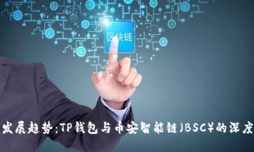 未来发展趋势：TP钱包与币安智能链（BSC）的深度整合