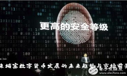 柬埔寨数字货币发展的未来趋势与市场前景