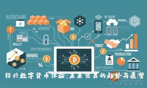 绍兴数字货币体验：未来交易的趋势与展望
