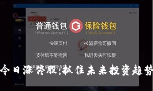 数字货币今日涨停股：抓住未来投资趋势的关键点