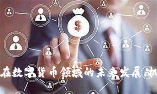 杉杉股份在数字货币领域的未来发展：机遇与挑战