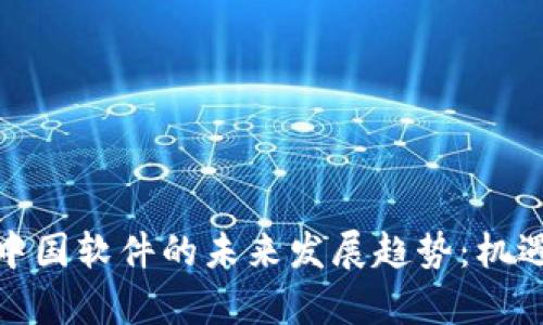 数字货币与中国软件的未来发展趋势：机遇与挑战并存