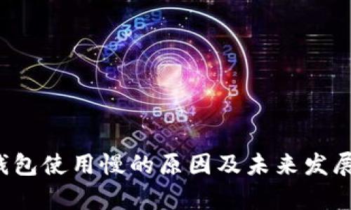  以太坊钱包使用慢的原因及未来发展趋势分析