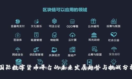 国际数字货币平台的未来发展趋势与挑战分析