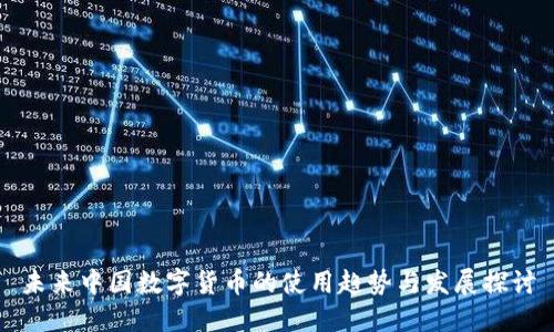 未来中国数字货币的使用趋势与发展探讨