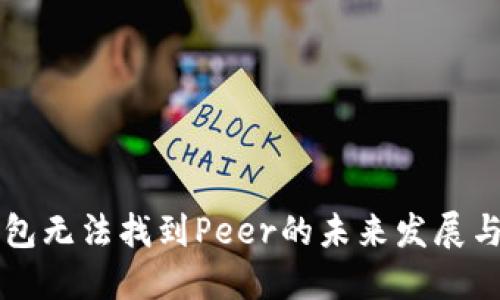 以太坊钱包无法找到Peer的未来发展与解决方案