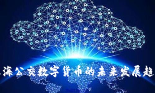 上海公交数字货币的未来发展趋势