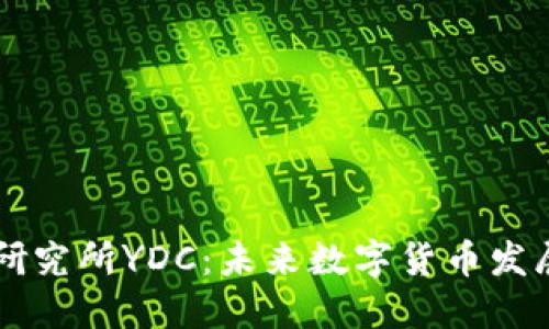 中国数字货币研究所YDC：未来数字货币发展的趋势与展望