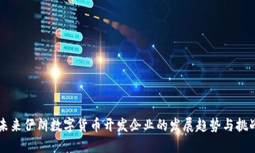 未来伊朗数字货币开发企业的发展趋势与挑战