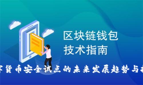 数字货币安全试点的未来发展趋势与挑战