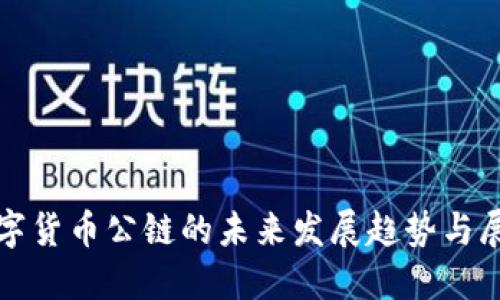 数字货币公链的未来发展趋势与展望