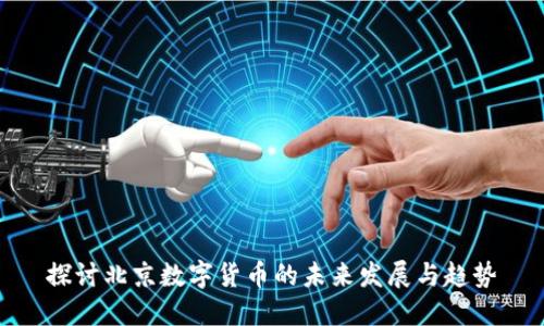 探讨北京数字货币的未来发展与趋势