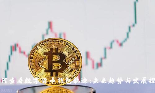 如何查看数字货币钱包轨迹：未来趋势与发展探索